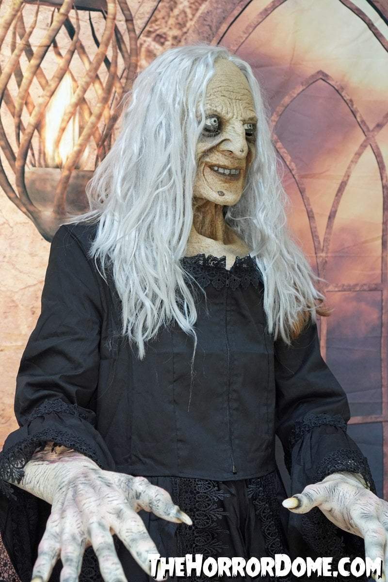 "Witchy Woman" HD Studios Halloween Costume