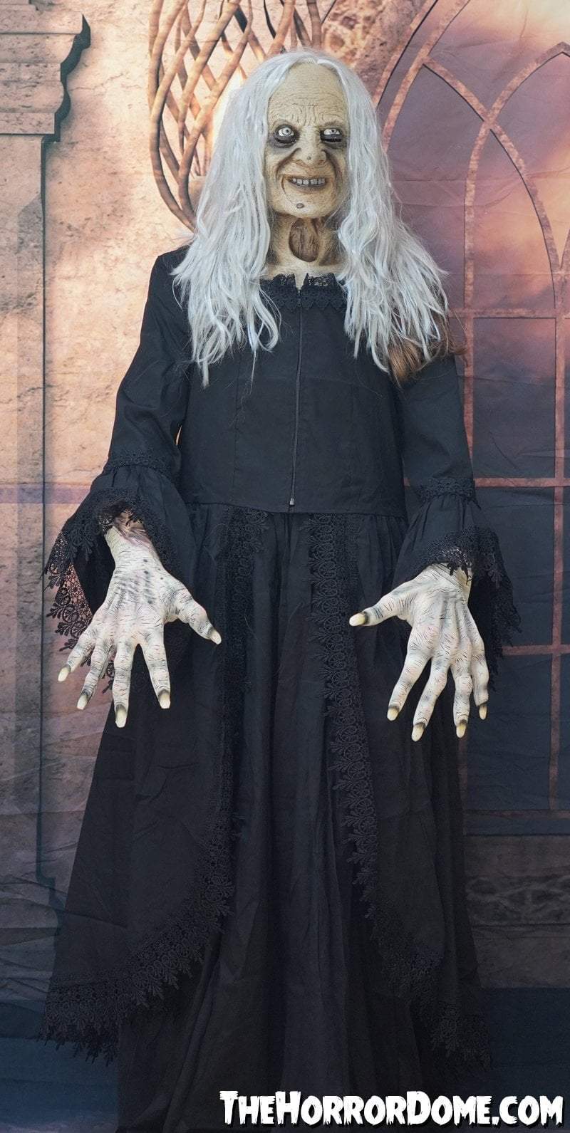 "Witchy Woman" HD Studios Halloween Costume