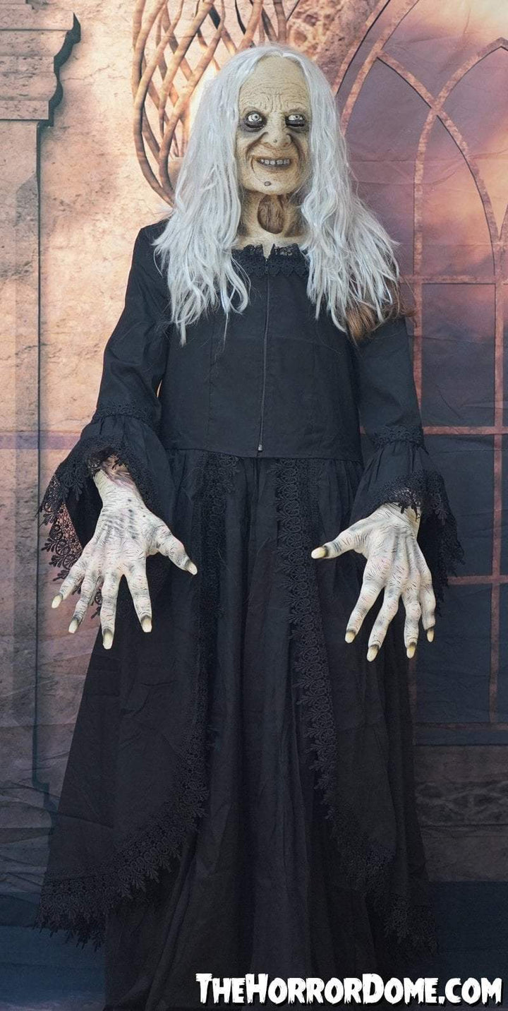 "Witchy Woman" HD Studios Halloween Costume
