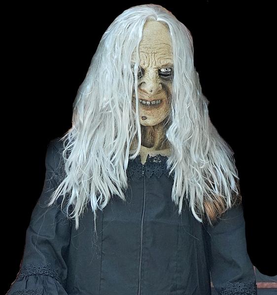 "Witchy Woman" HD Studios Halloween Costume