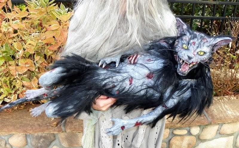 "Zombie Cat" HD Studios Halloween Puppet Prop