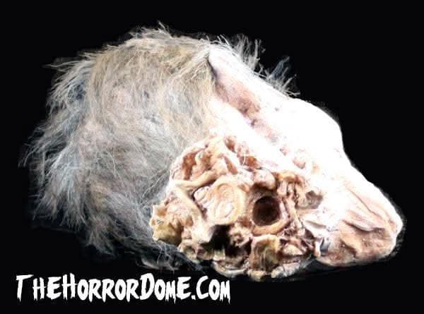 "Zombie Head" HD Studios Halloween Prop